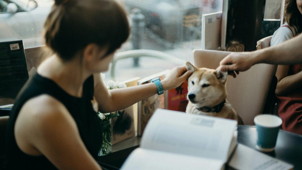 A woman petting a Shiba Inu at a cozy cafe, surrounded by books. Perfect for lifestyle and pet themes.